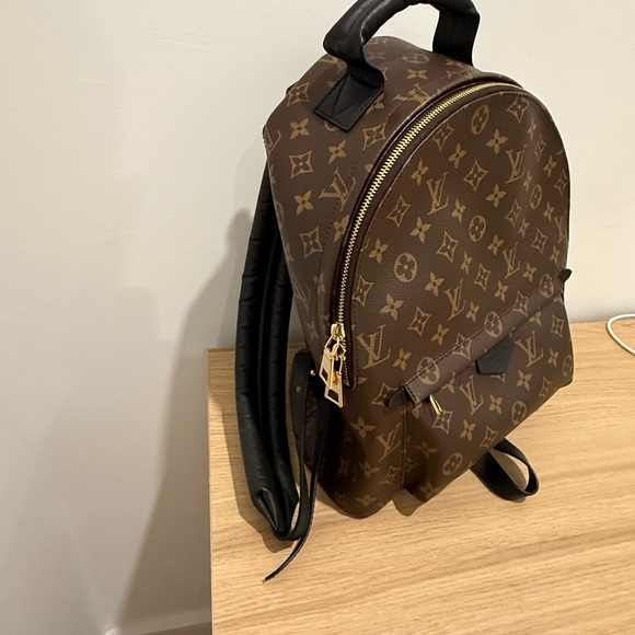 Louis Vuitton Palm Springs MM Brown Backpack - Picture 2 of 6